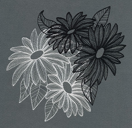 Engraved Daisies