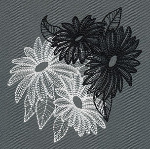 Engraved Daisies