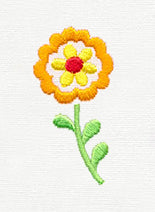 Folklorico - Little Flor