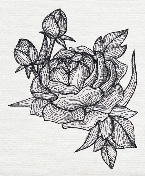 Engraved Peony