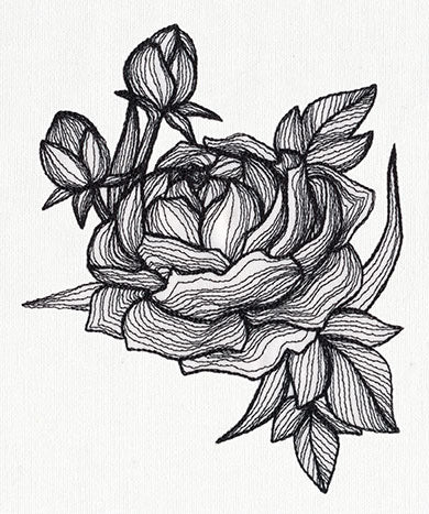 Engraved Peony