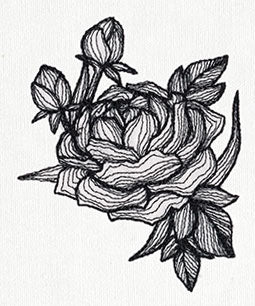 Engraved Peony