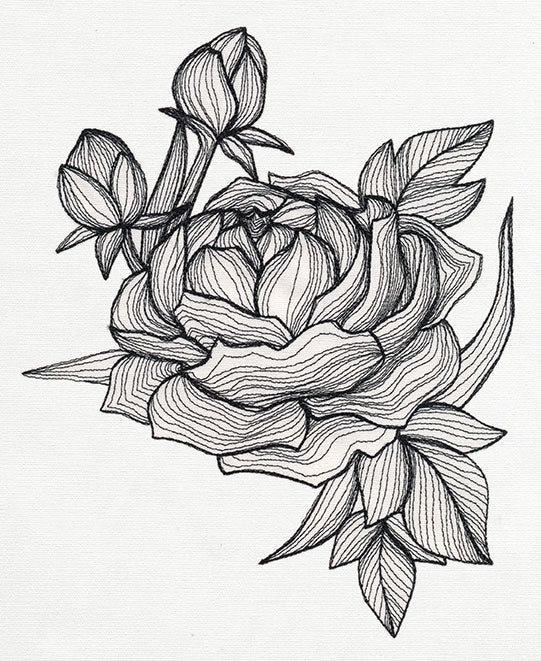 Engraved Peony