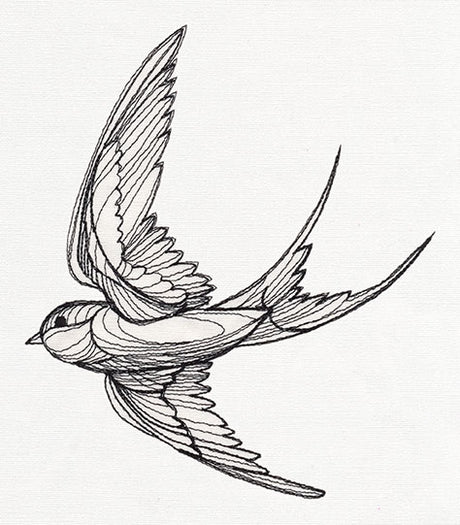 Engraved Swallow