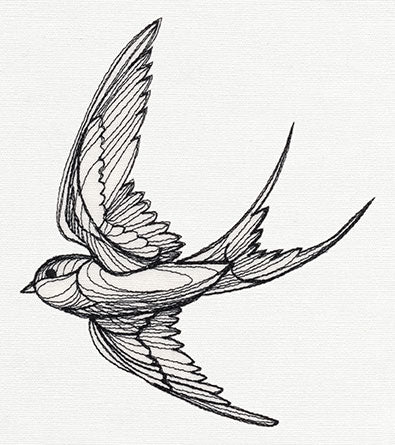 Engraved Swallow