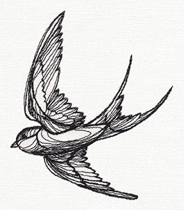 Engraved Swallow
