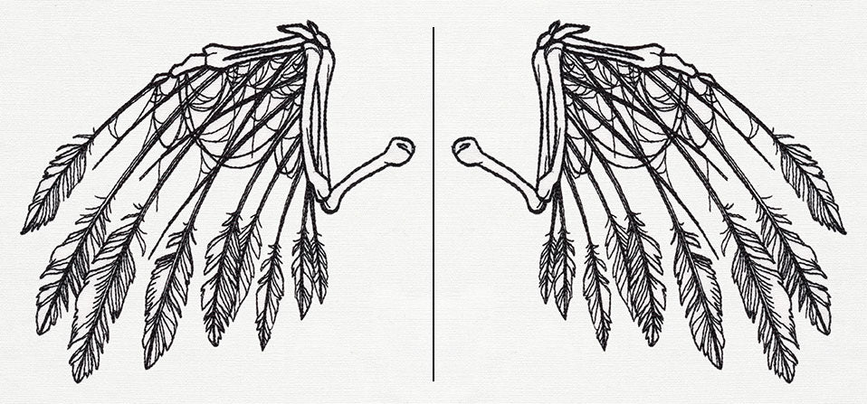 Skeletal Flight (Wing Pair)