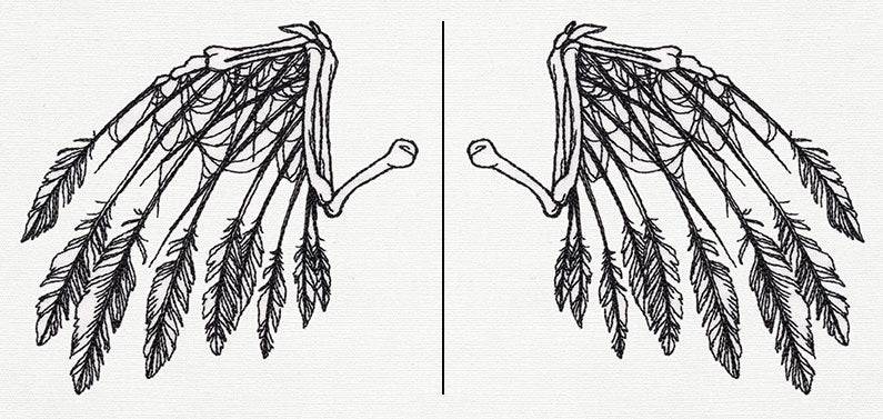 Skeletal Flight (Wing Pair)
