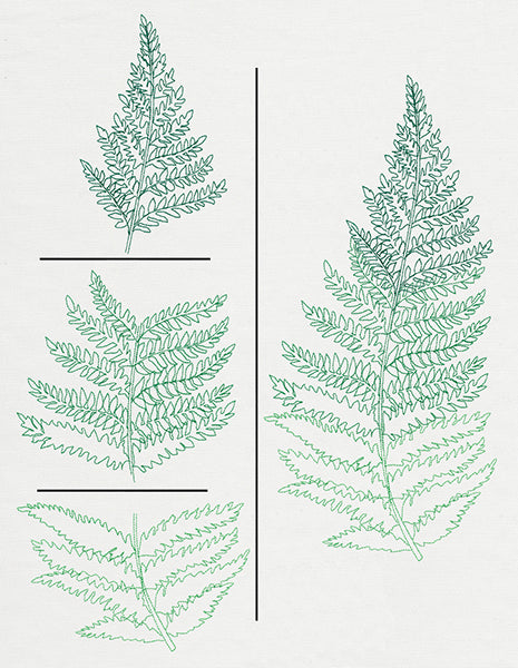 Where the Fern Grows (Split)