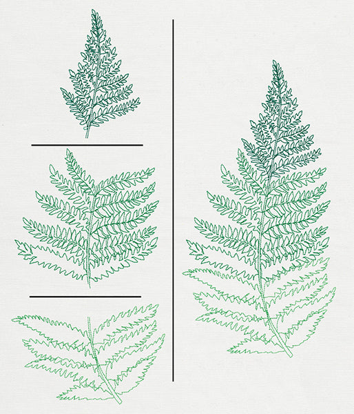 Where the Fern Grows (Split)