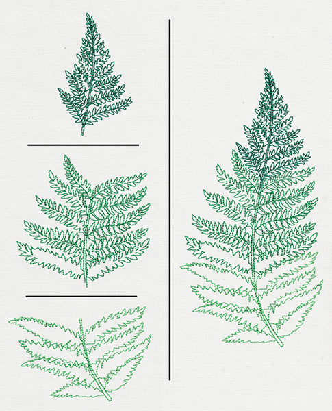 Where the Fern Grows (Split)