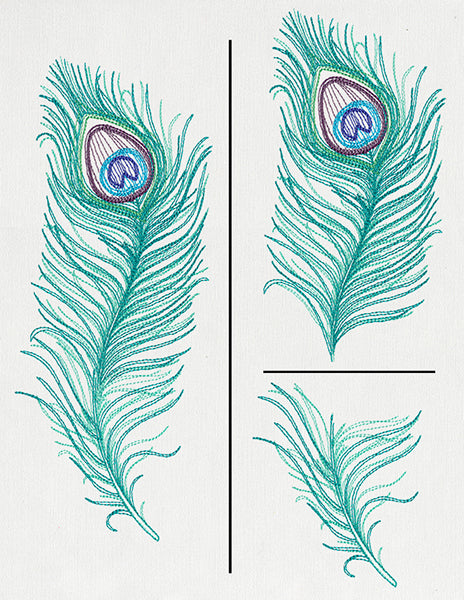 Peacock Quill (Split)