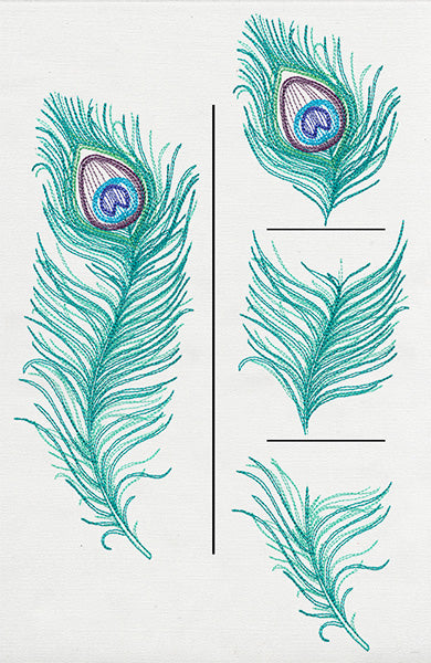 Peacock Quill (Split)