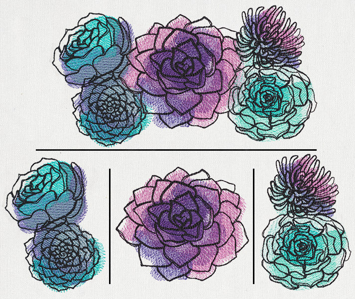 Painted Succulents (Split)