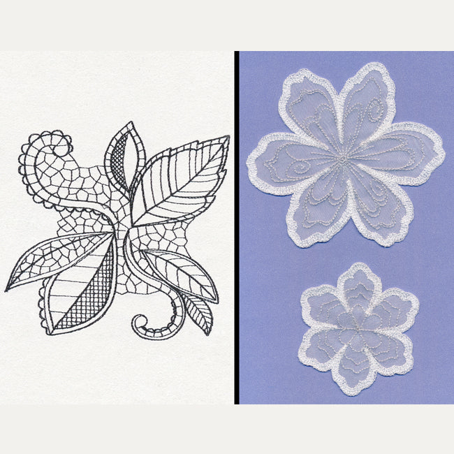 Soft Bloom (Applique)