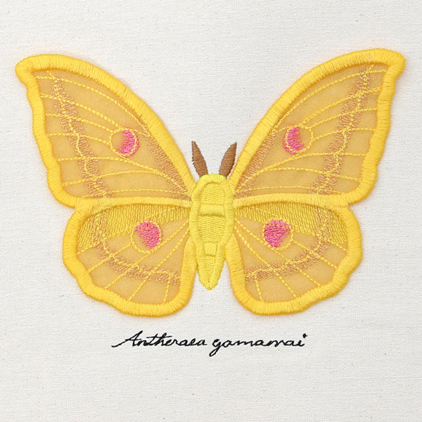 Winged Curiosities - Japanese Silk Moth (3D Applique)