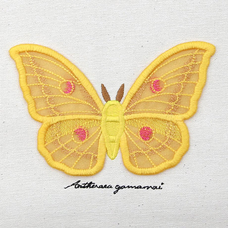 Winged Curiosities - Japanese Silk Moth (3D Applique)