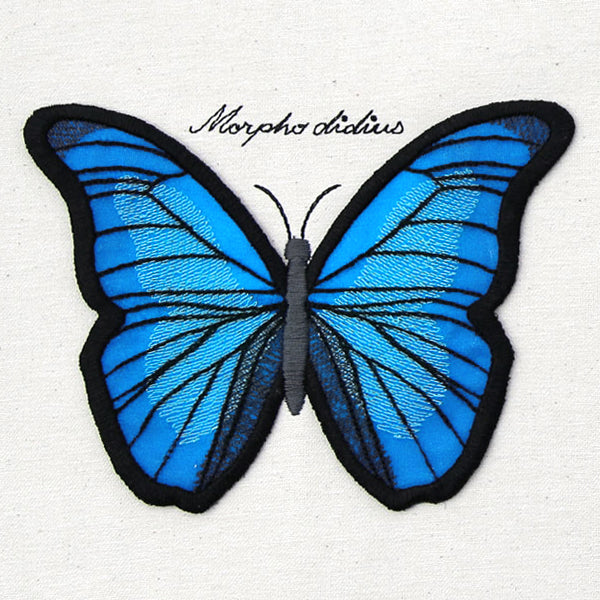 Winged Curiosities - Blue Morpho (3D Applique)