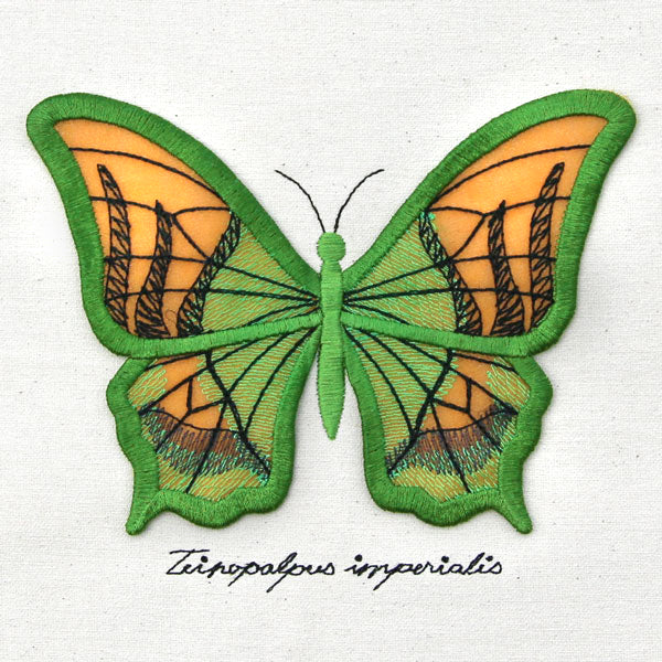 Winged Curiosities - Kaiser-i-Hind (3D Applique)