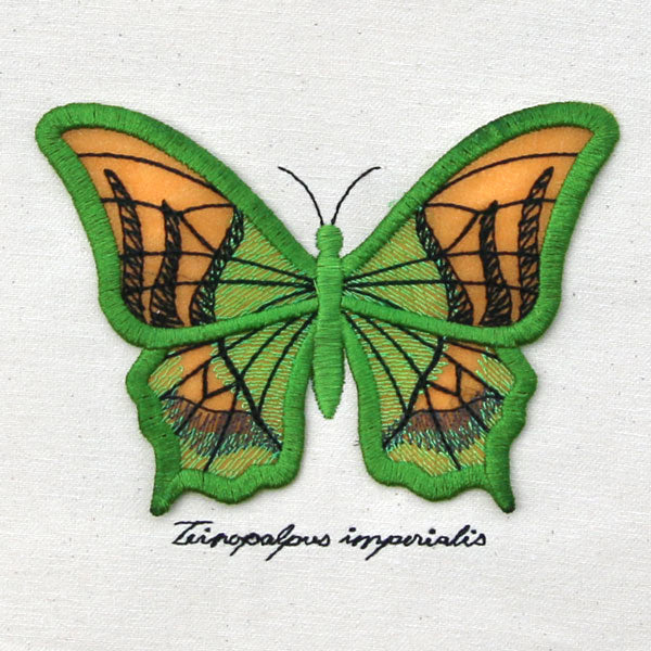 Winged Curiosities - Kaiser-i-Hind (3D Applique)