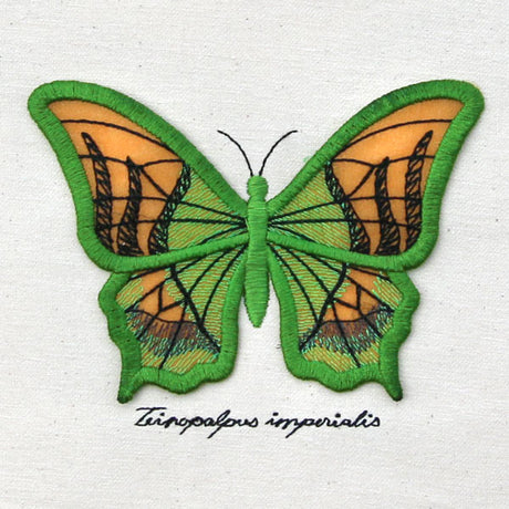 Winged Curiosities - Kaiser-i-Hind (3D Applique)