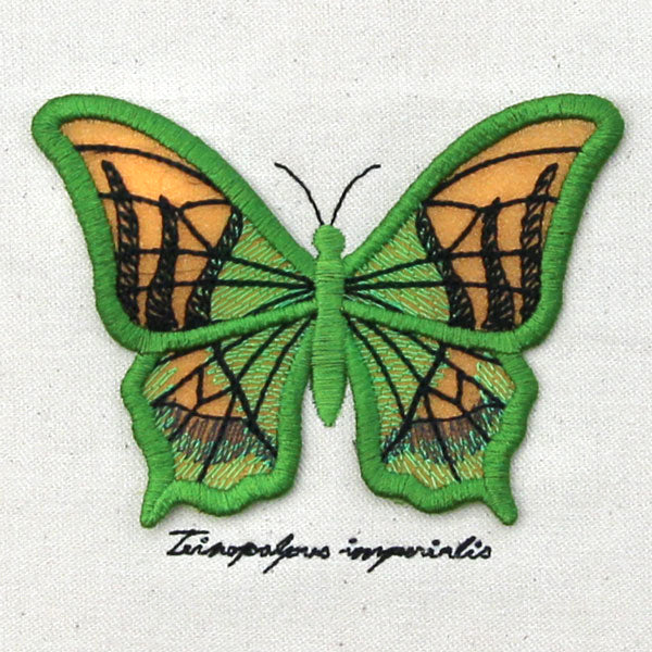 Winged Curiosities - Kaiser-i-Hind (3D Applique)