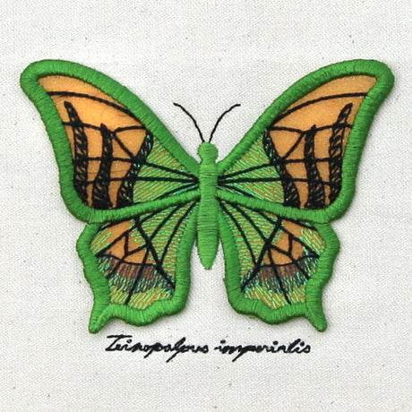 Winged Curiosities - Kaiser-i-Hind (3D Applique)