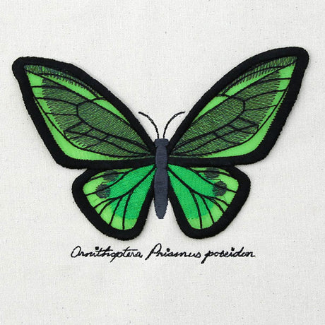Winged Curiosities - Green Birdwing (3D Applique)