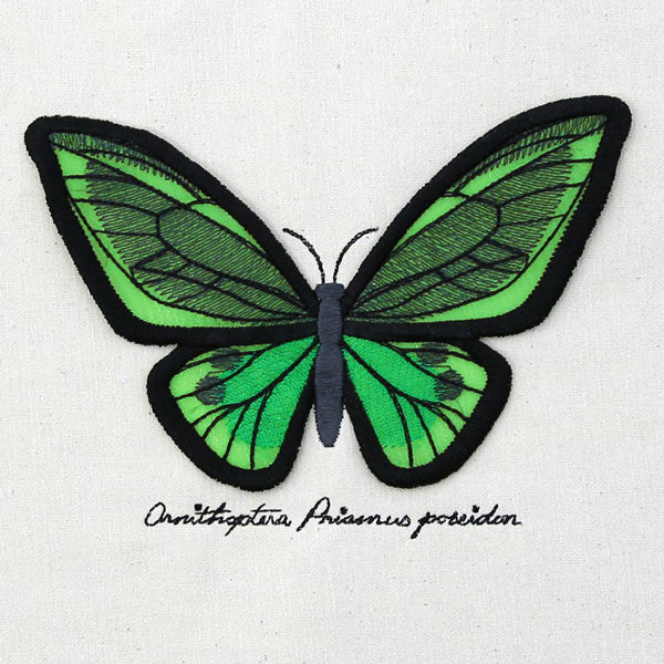 Winged Curiosities - Green Birdwing (3D Applique)