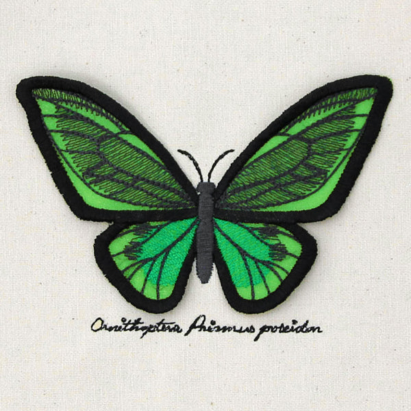 Winged Curiosities - Green Birdwing (3D Applique)