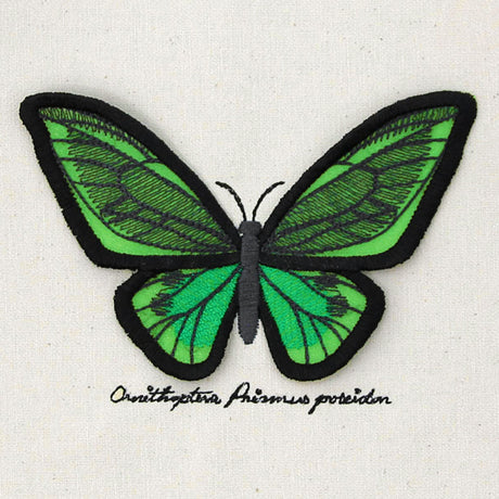 Winged Curiosities - Green Birdwing (3D Applique)