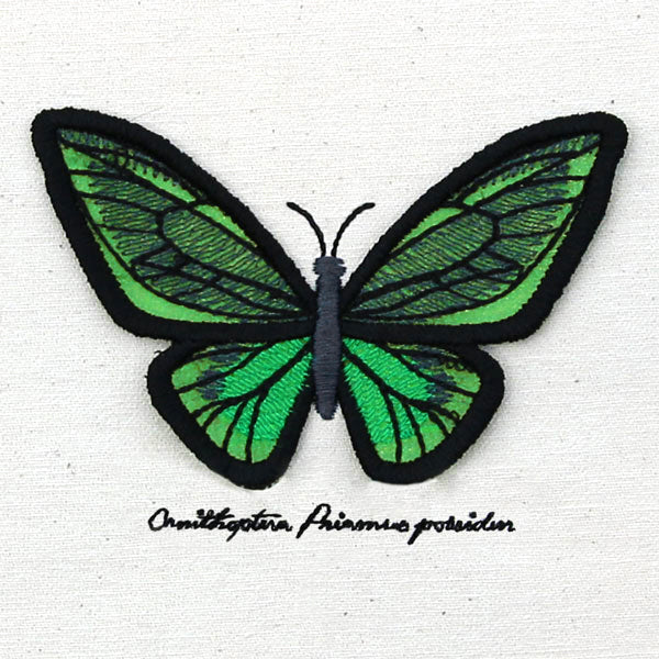 Winged Curiosities - Green Birdwing (3D Applique)