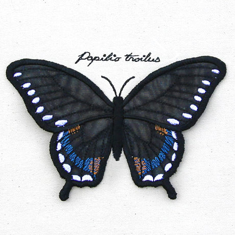 Winged Curiosities - Spicebush (3D Applique)