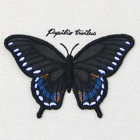 Winged Curiosities - Spicebush (3D Applique)