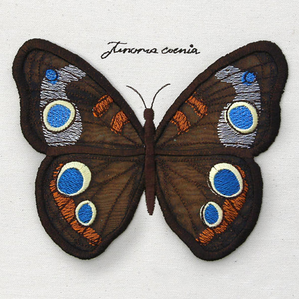 Winged Curiosities - Common Buckeye (3D Applique)