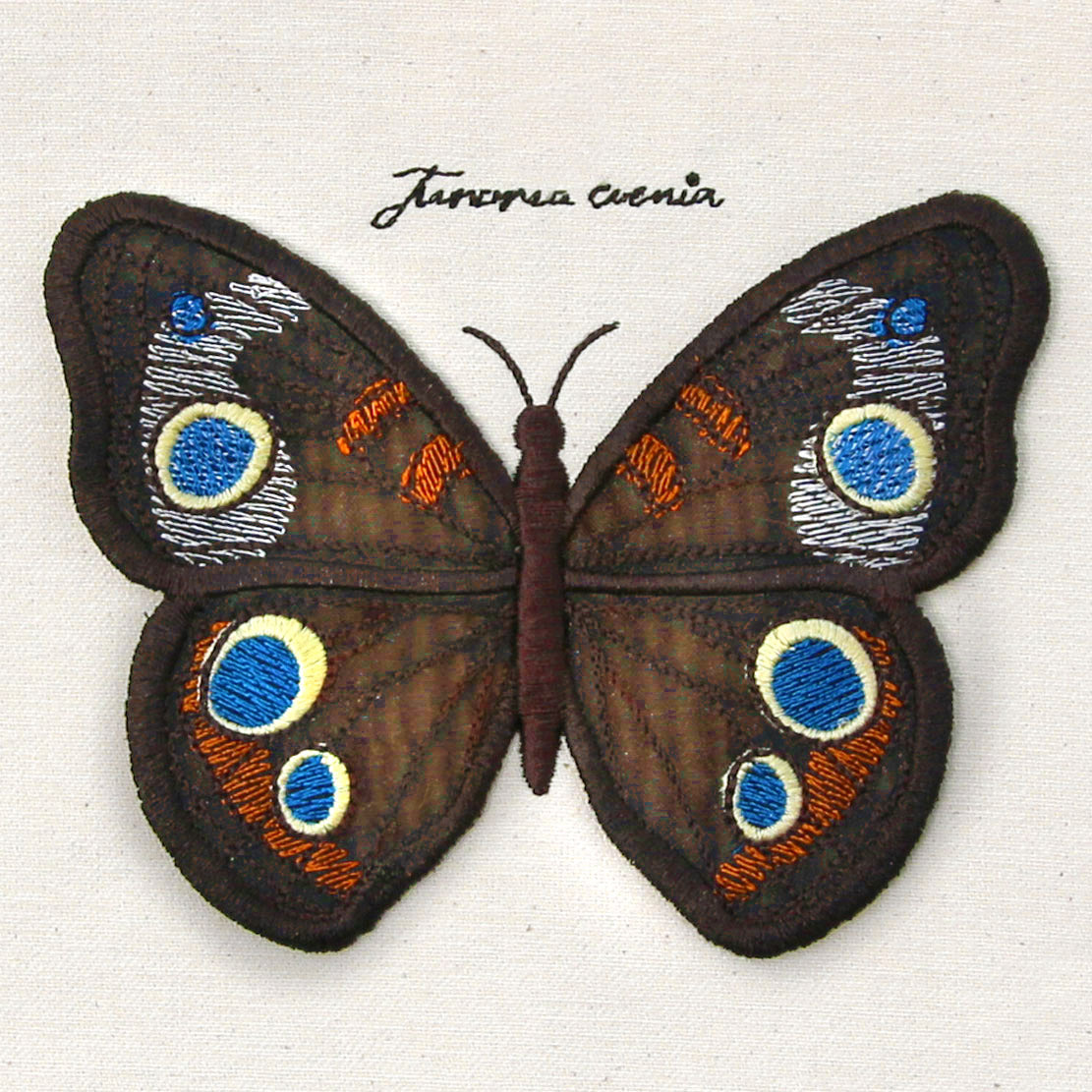 Winged Curiosities - Common Buckeye (3D Applique)