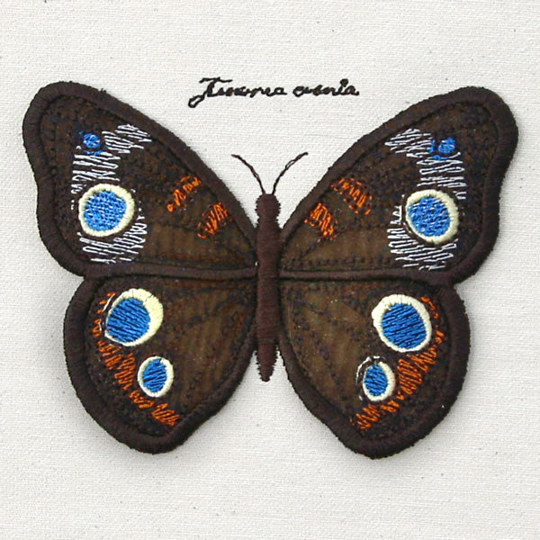 Winged Curiosities - Common Buckeye (3D Applique)