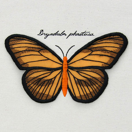 Winged Curiosities - Banded Orange (3D Applique)