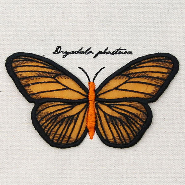 Winged Curiosities - Banded Orange (3D Applique)