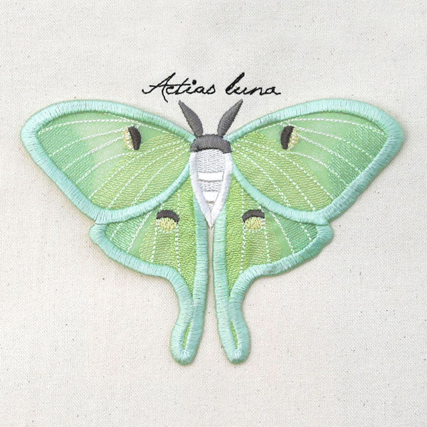 Winged Curiosities - Luna Moth (3D Applique)
