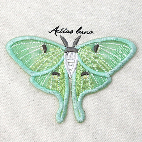 Winged Curiosities - Luna Moth (3D Applique)