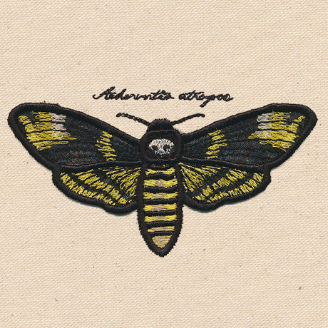 Death's Head Moth (3D Applique)