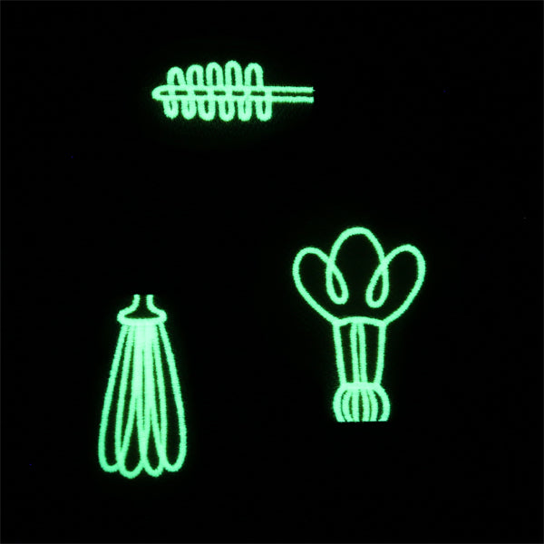 Spark of Genius (Vinyl Applique)