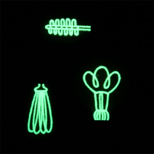 Spark of Genius (Vinyl Applique)