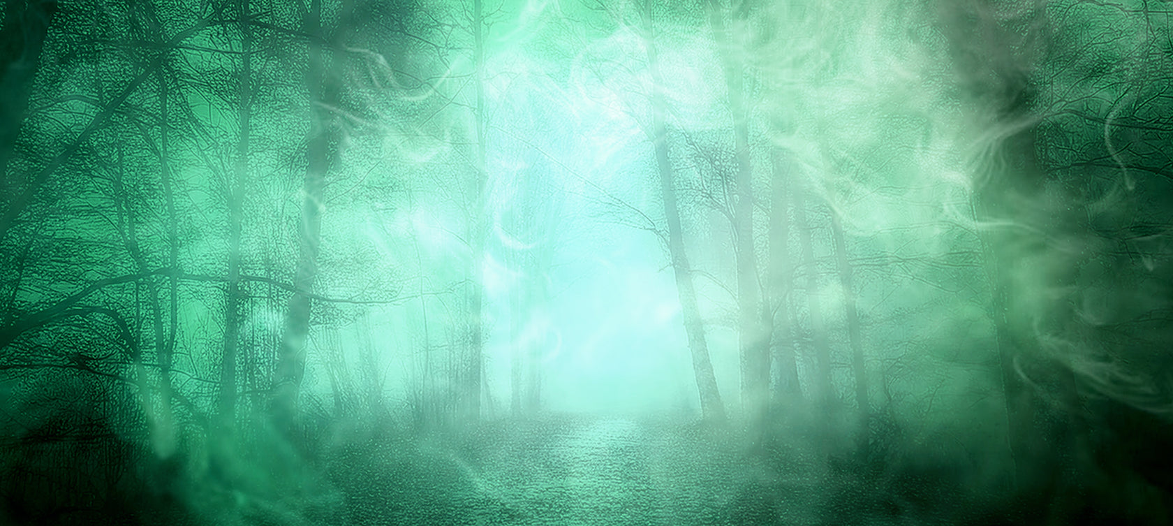 Mystical forest with a glowing light at the center