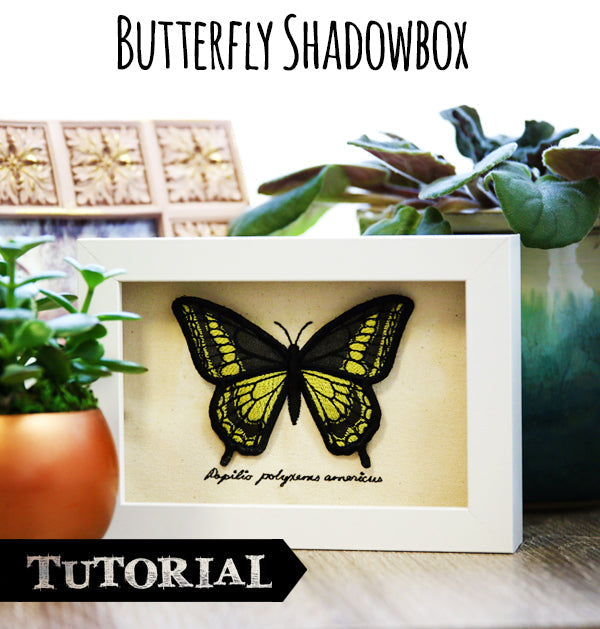 Butterfly Shadowbox