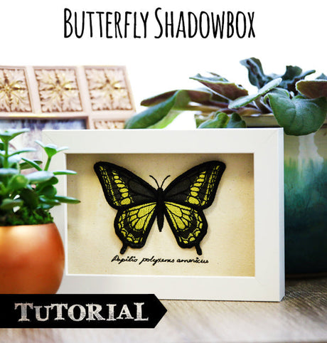 Butterfly Shadowbox