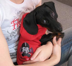 Dog Hoodie
