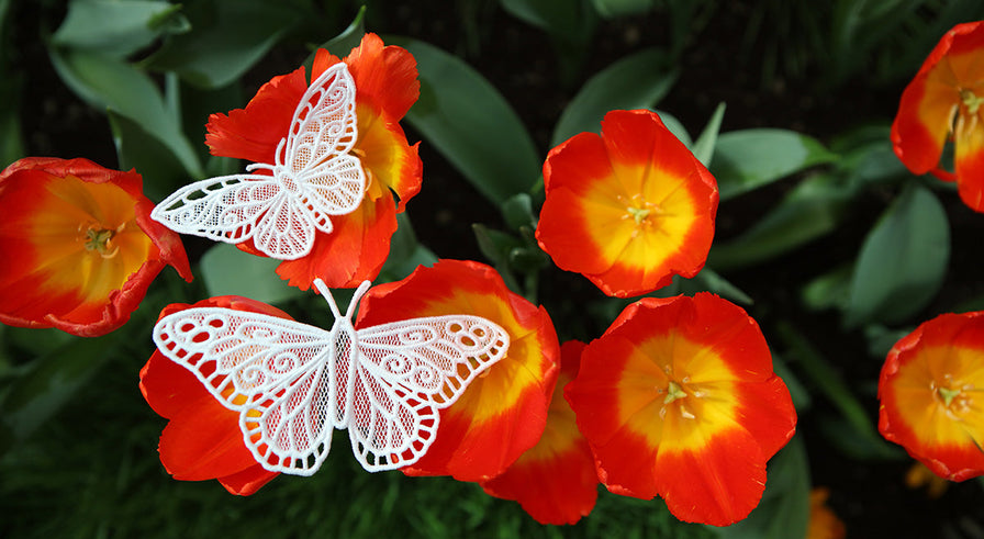 Red flowers with white butterfly lace embroidery designs a garden setting