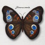 Winged Curiosities - Common Buckeye (3D Applique)